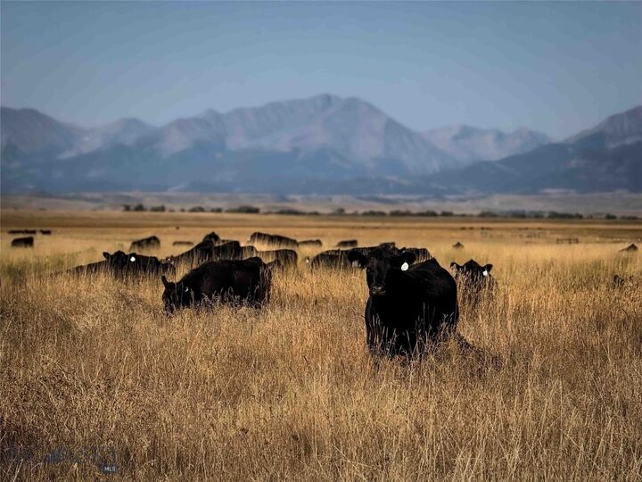 Property Photo:  229 Cremer Road  MT 59011 