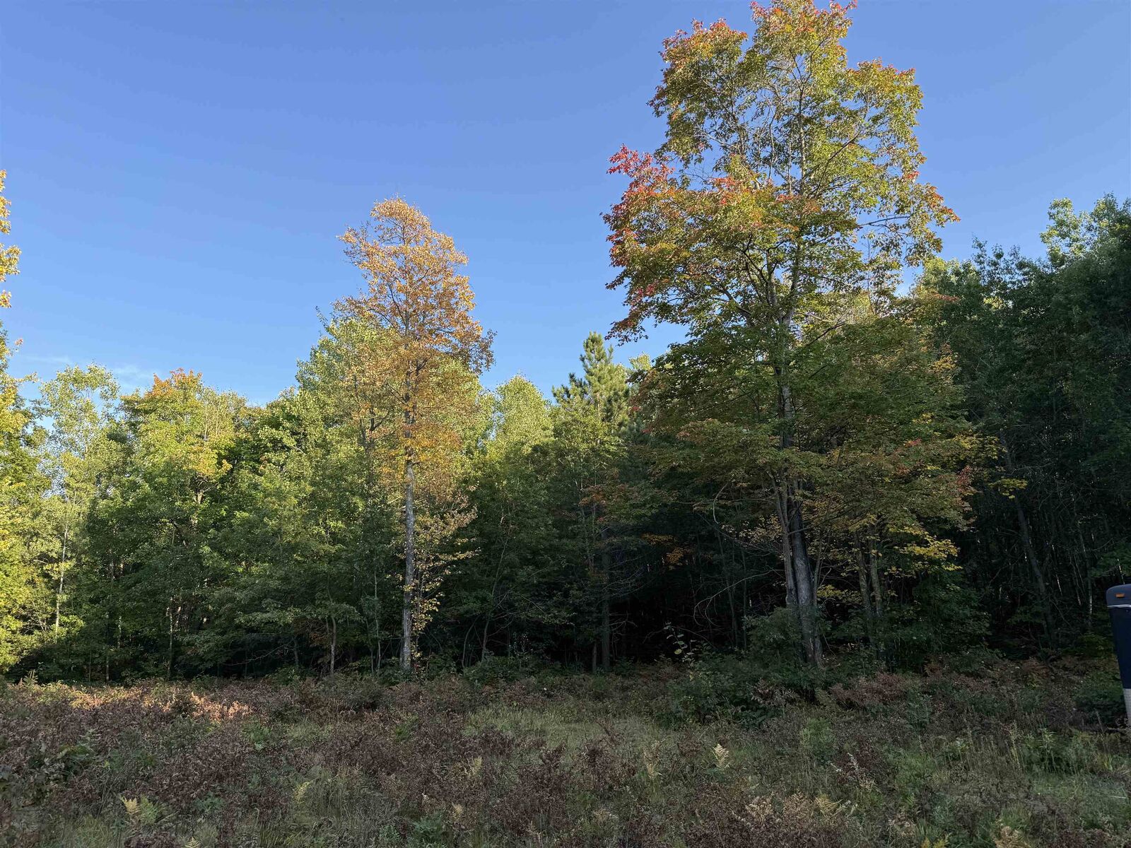 Property Photo: 000 US Highway 2 WI 54847