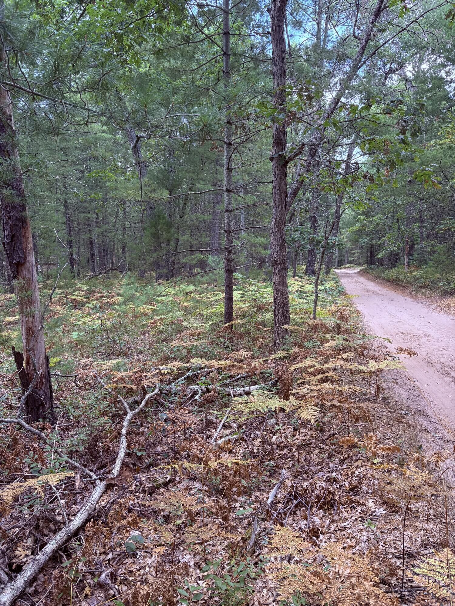 Property Photo: 00 S Shady Grove Drive MI 49304