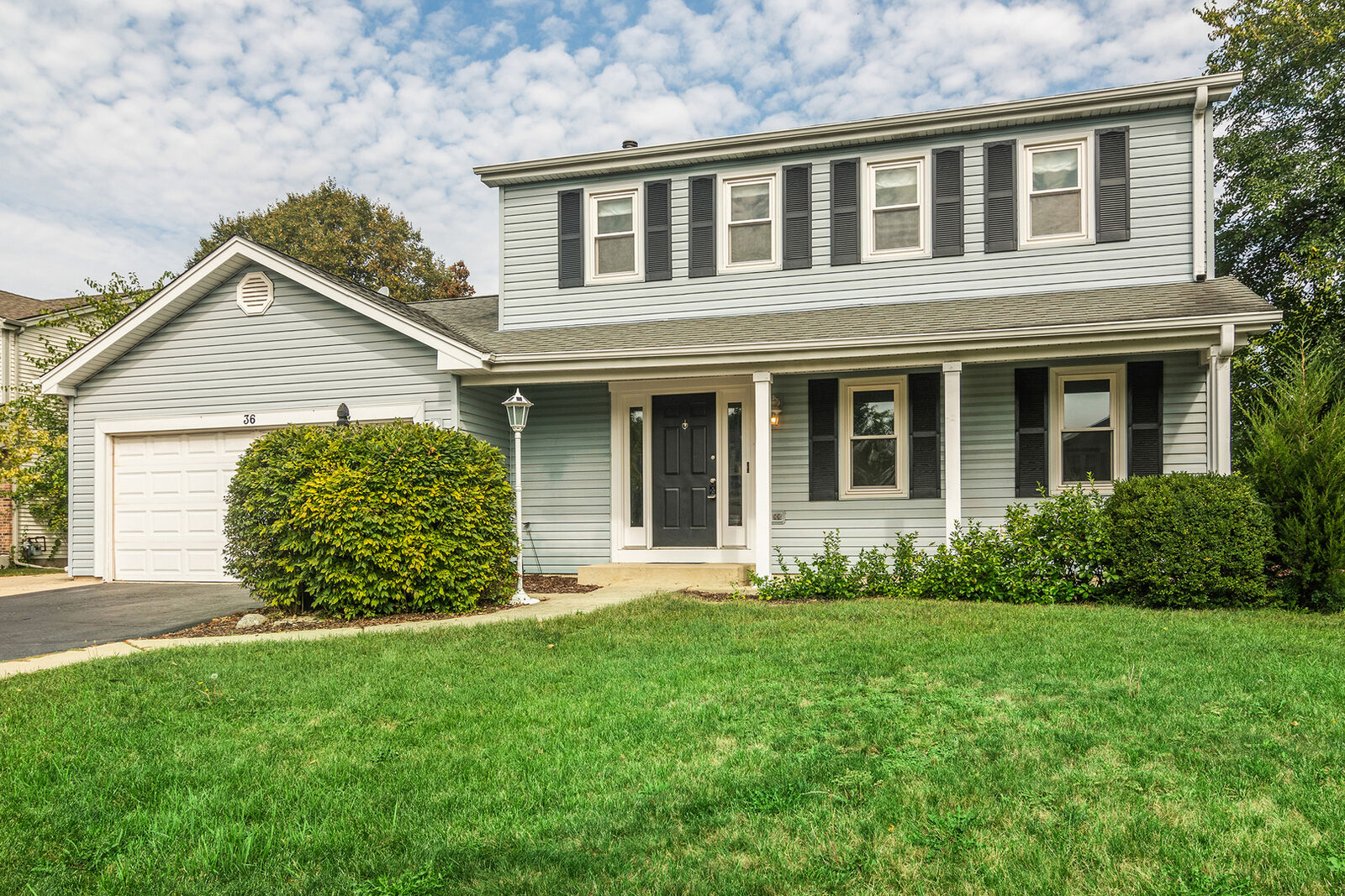 Property Photo:  36 Shore Drive  IL 60193 
