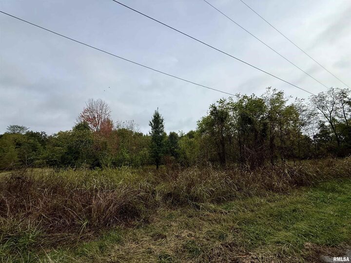 Property Photo:  Tbd Brock Lane  IL 62966 