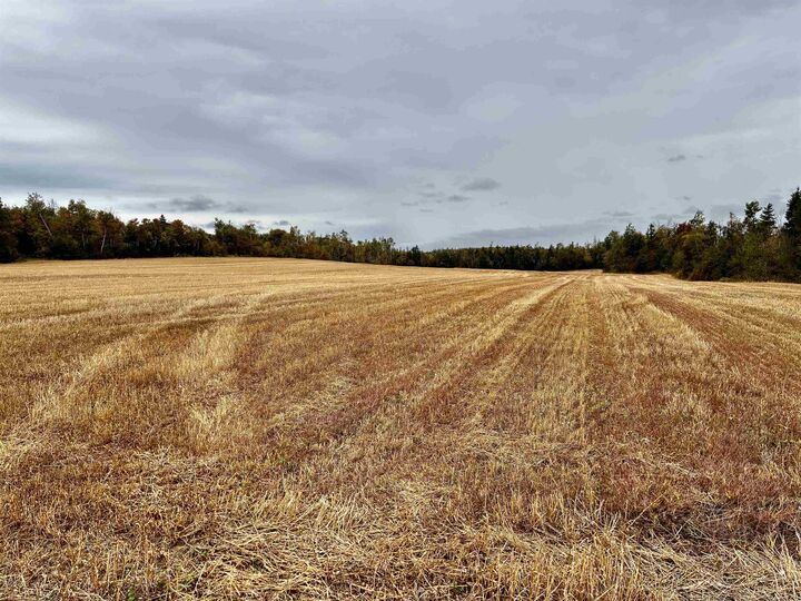 Property Photo:  Acreage Brackley Point Road - 49 Acres  PE C1E 2N9 