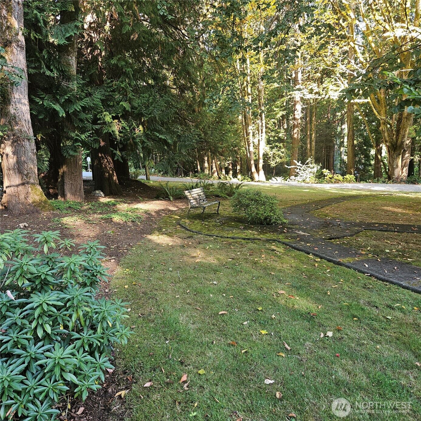 Property Photo: 9380 Ferncliff Avenue NE WA 98110