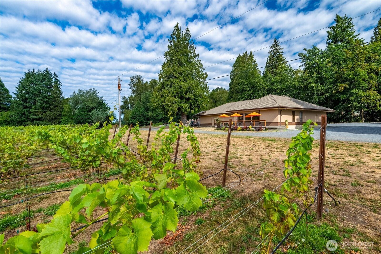 MLS#2437176: 4290 Mt Baker Highway, Everson, WA 98247