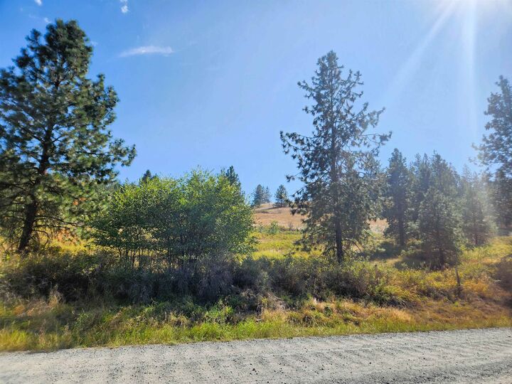 Property Photo:  Tbd Bossburg Rd  WA 99126