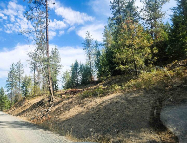 Property Photo:  Tbd Bossburg Rd  WA 99126