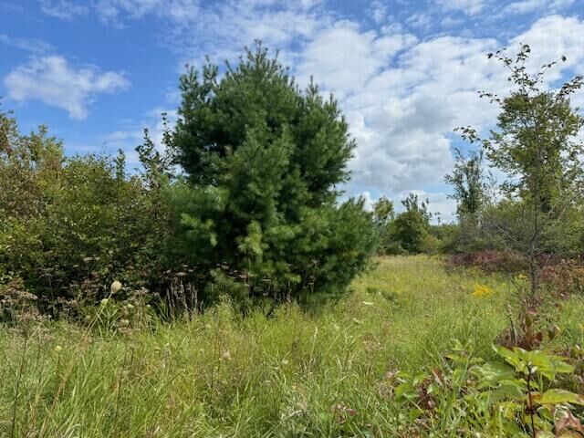 Parcel 1 Vfw Rd  Cheboygan MI 49721 photo