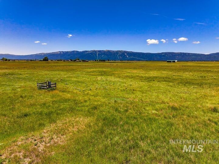 Property Photo:  13239 Finlandia Rd.  ID 83615 