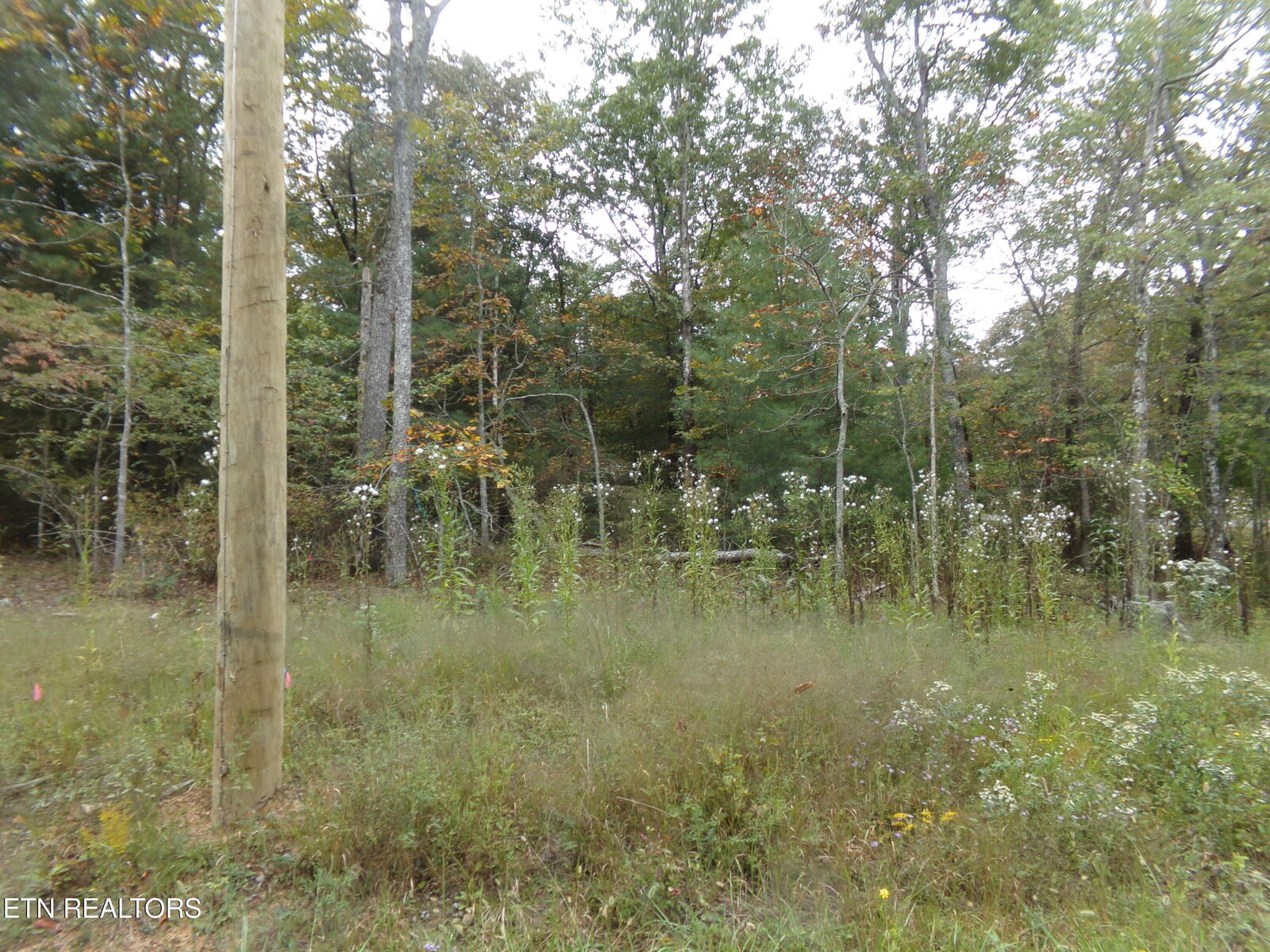 Property Photo:  7039&7041 Ute Lane  TN 38572 