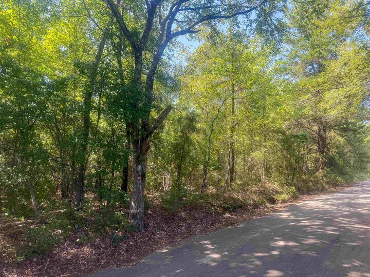 Property Photo:  Tbd Jonquil Rd  TX 75645 