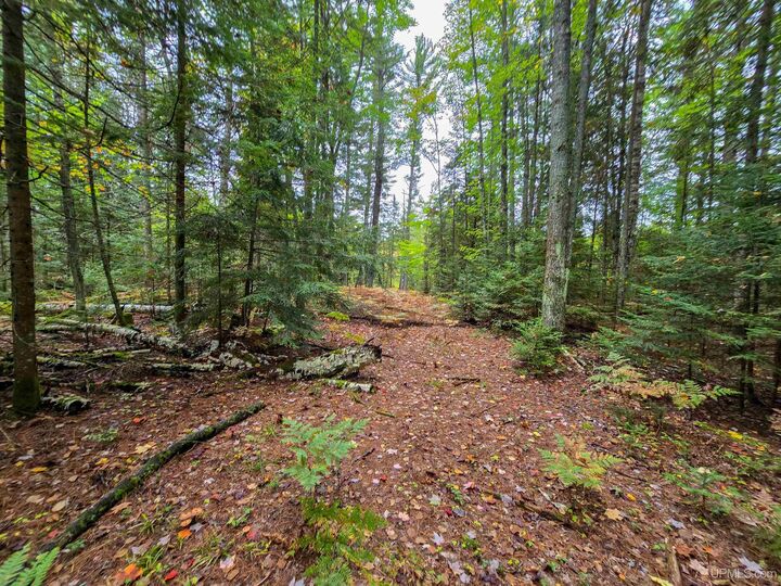 Property Photo:  Tbd Leatherleaf Lane  MI 49855 