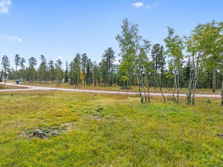 Property Photo: Lot 4 Lofty Pines Road SD 57754
