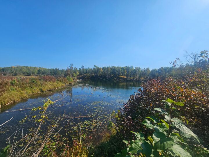Property Photo: Tbd Miller Lake Road MN 56441