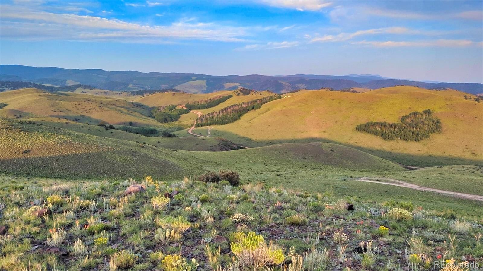 Property Photo:  1931 Commanche Trail  CO 81252 