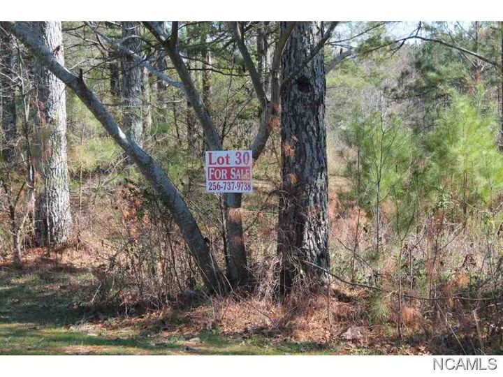 Property Photo: Lot 71 Montcrest AL 35057 - CULLMAN