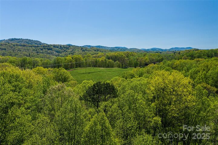 Property Photo:  9999 Bee Balm Way 55  NC 28804 