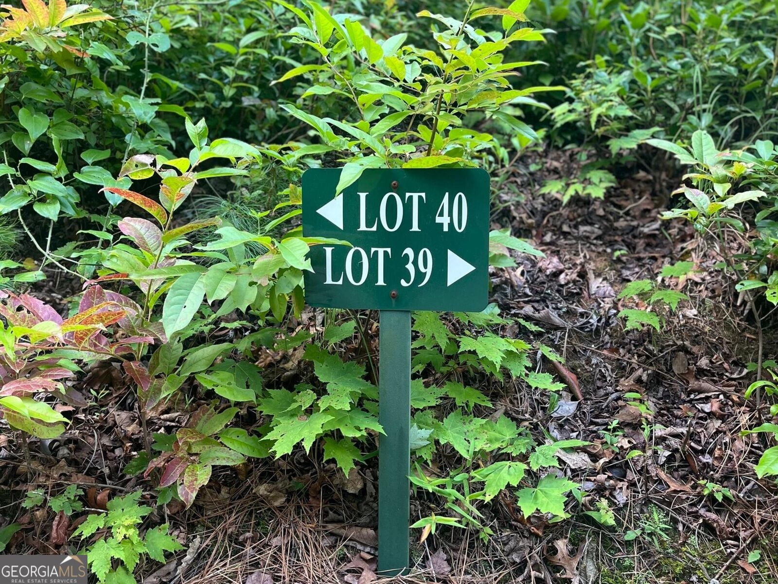 Property Photo:  Lot 40 Anderson Drive  GA 30525 