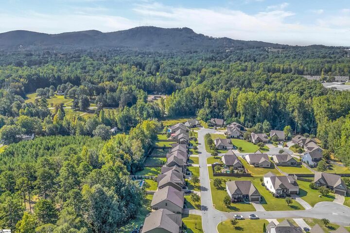 Property Photo:  101 Mountain Slope Court  SC 29690 