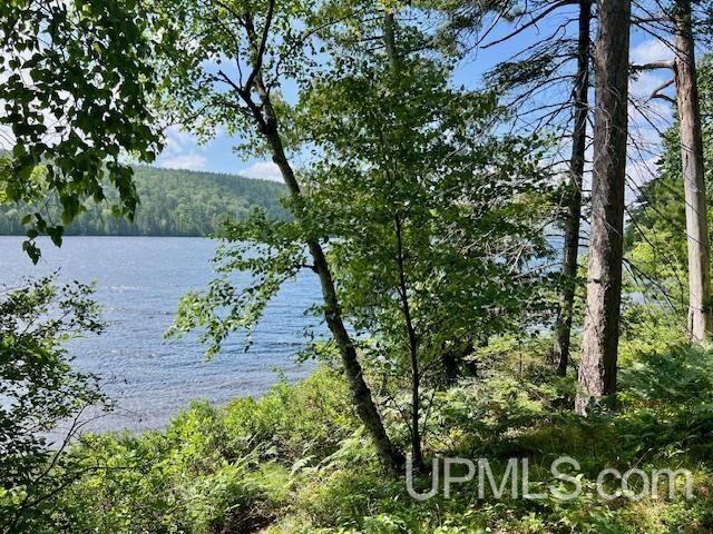 Property Photo:  Tbd US 41 Highway  MI 49918 