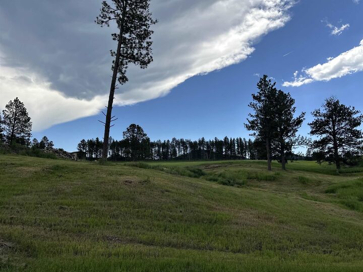 Blk 6 Lot 8 &Amp 9  Hill City SD 57745 photo