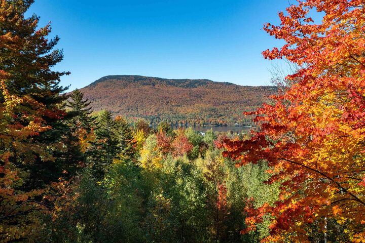Property Photo:  00 Overlook Hill Road  VT 05657 