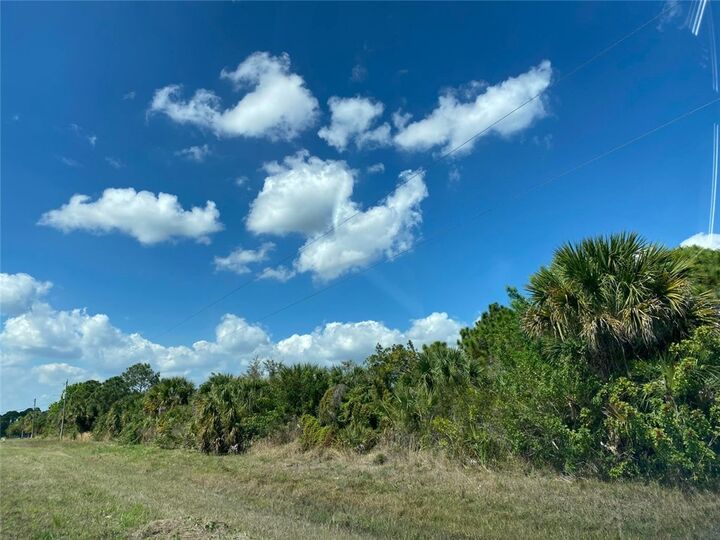 Property Photo: 342 Trotters Street FL 32909