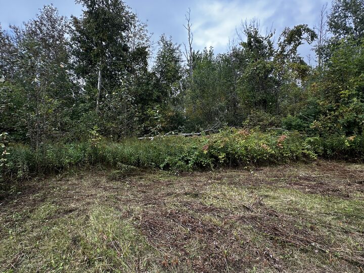 Property Photo: 8152 US-23 North MI 49707