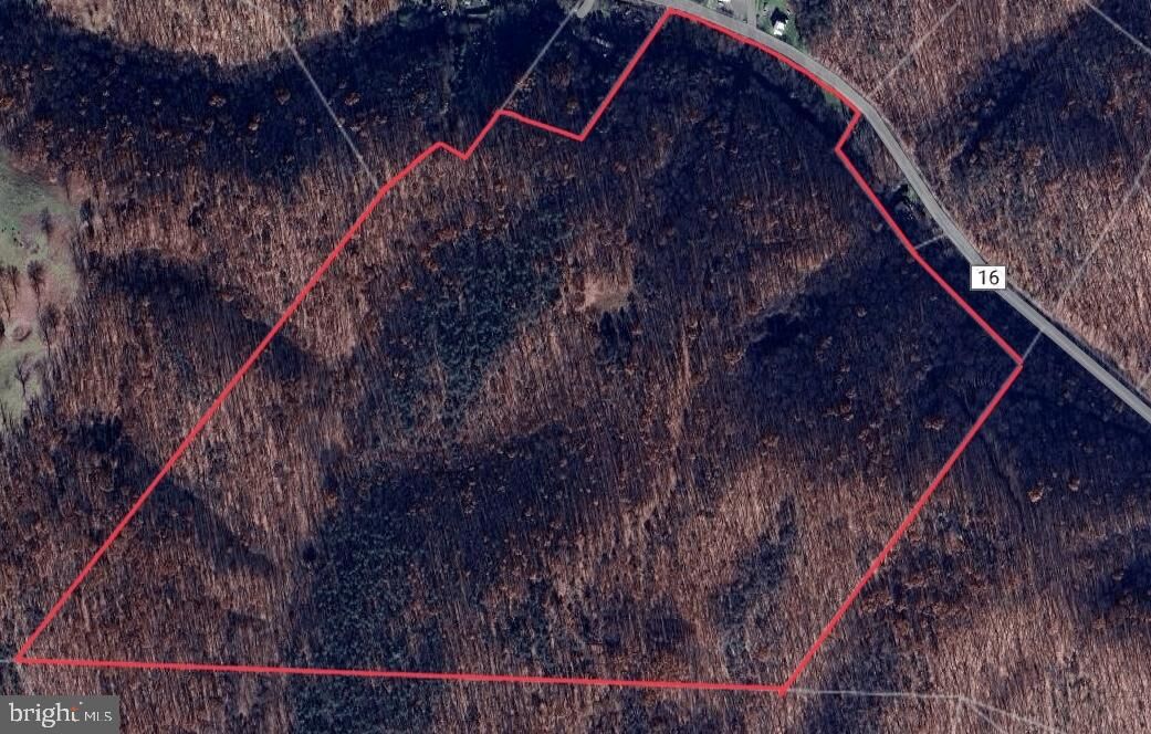 Property Photo:  75.84ac Off Fountain Headsville Road  WV 26726 