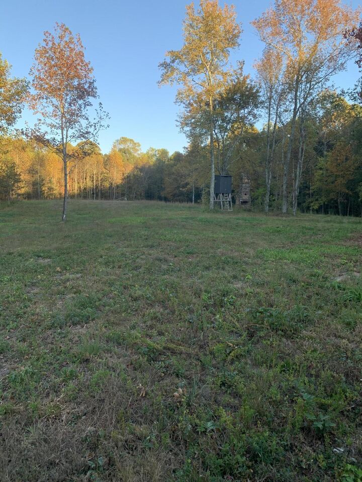 Property Photo: 7.72 Ac 660 County Road 724 AL 35958