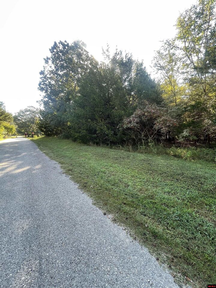 Property Photo:  760-19581-000 Sandot Drive  AR 72619 