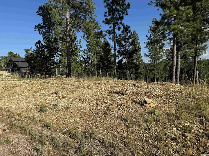 Property Photo: Lot 21 Overlook Court SD 57754