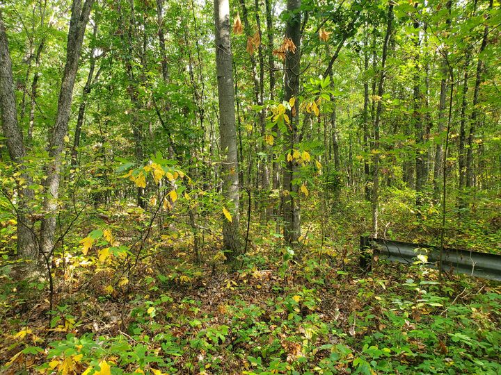 Property Photo: 113th MI 49010