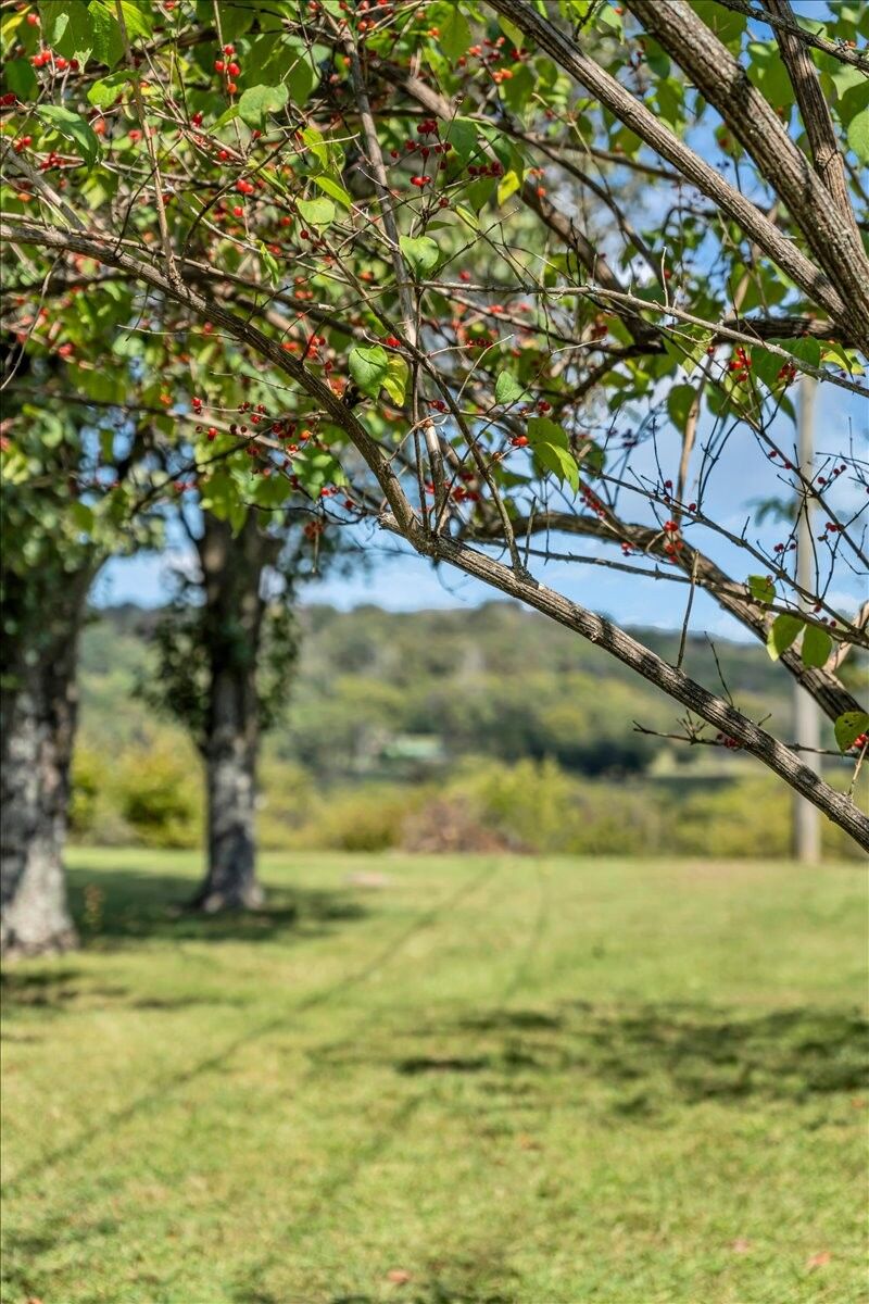 Property Photo:  22 McGinnis Ln  TN 38547 