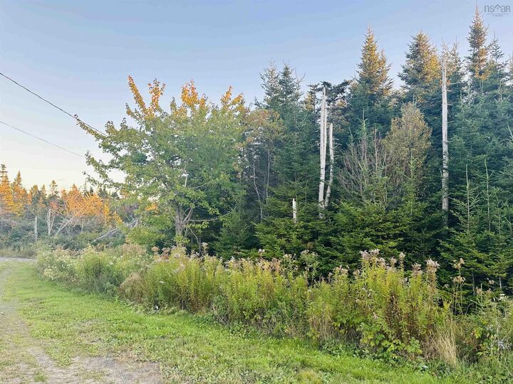 Property Photo:  28 Flat Point Road  NS B0Y 1Y0 