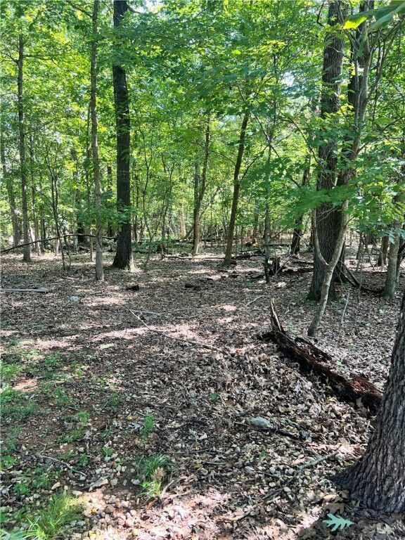 Property Photo:  Rettendon Lane  AR 72714 