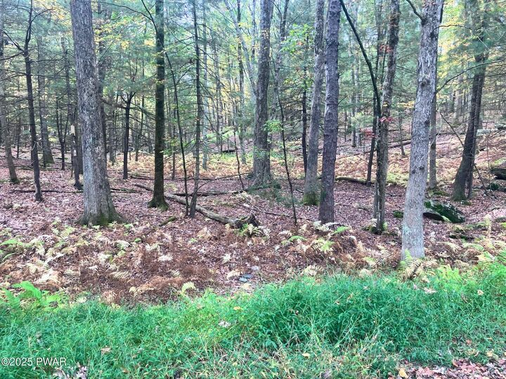 Property Photo: West Shore Drive PA 18337