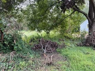 Property Photo: 0 Grace Avenue NC 27217