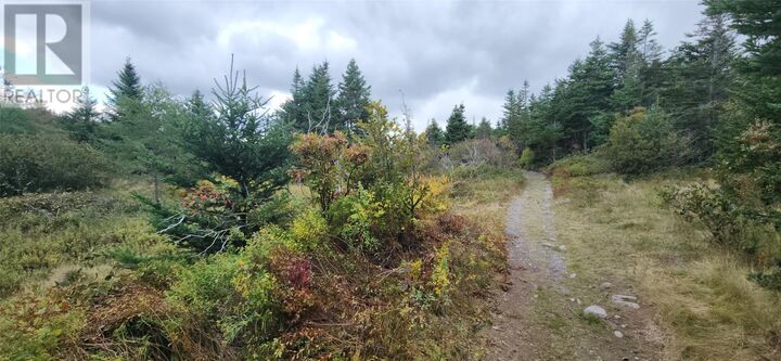 Property Photo:  101-121 Holdens Road  NL A0A 2P0 