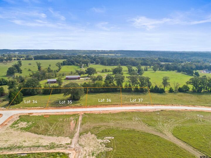 13836 Cedar Hill Lane  Tyler TX 75704 photo