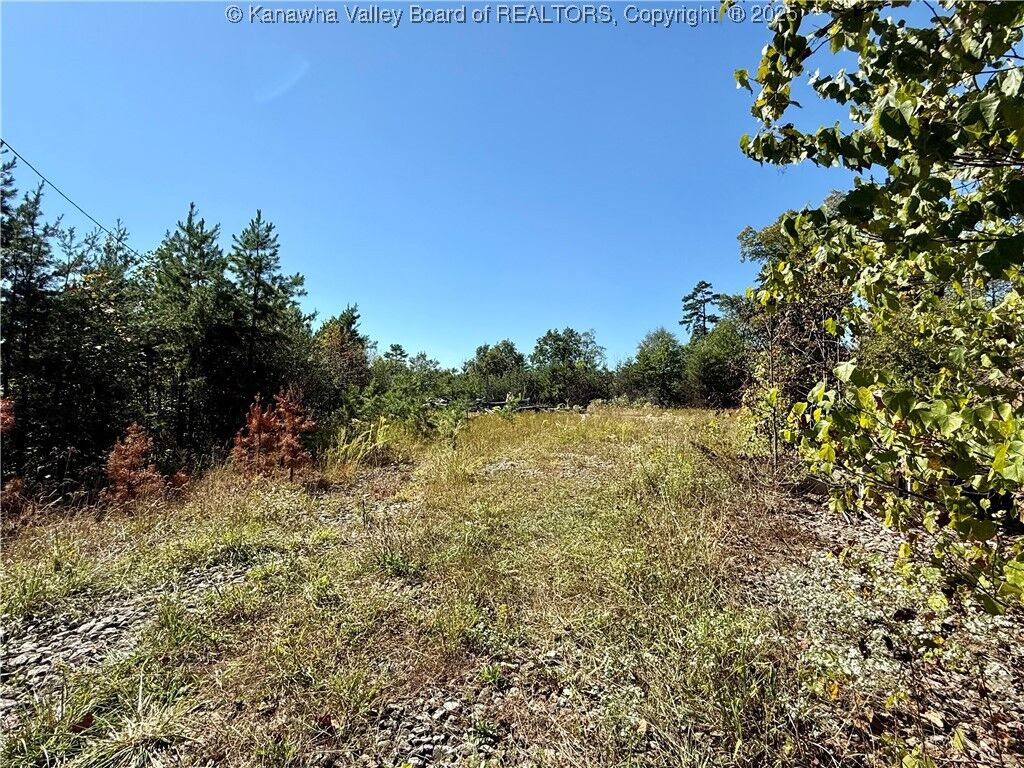 Property Photo:  13846 McLane Pike  WV 25124 
