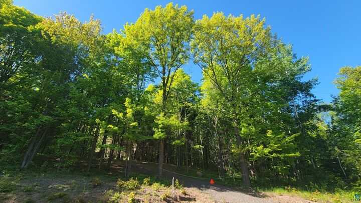 Property Photo:  11xxx Old Military Rd  WI 54814 