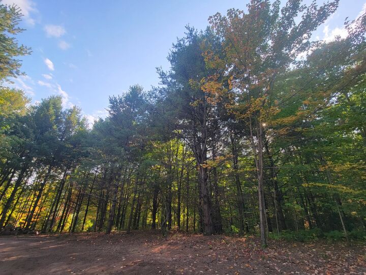 Property Photo:  11xxx Old Midway Rd Lot 1-20, Block 130  WI 54814 