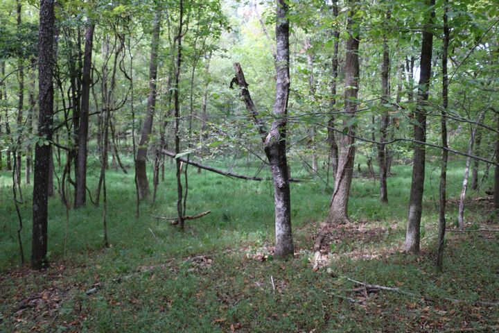 Property Photo: 1 Dotsonville Rd TN 37042