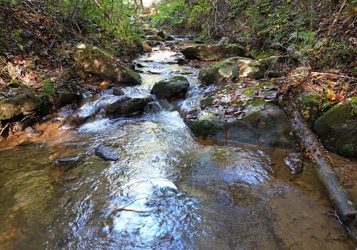 Property Photo: 373 Scrougetown Road GA 30536