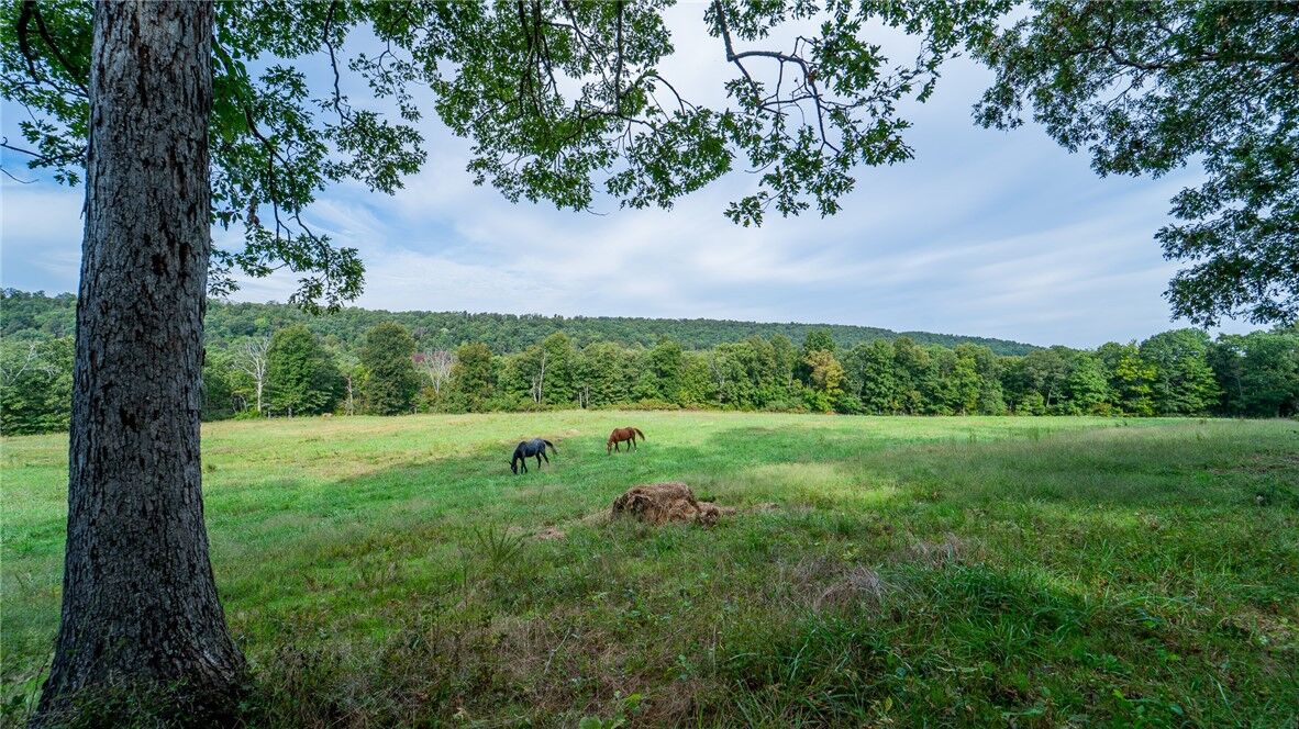 Property Photo:  6270 Madison  AR 72773 