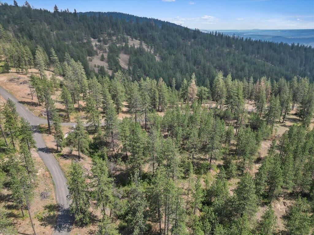Property Photo: Nka Weaver Way Lot B Of Lot 6 WA 99006