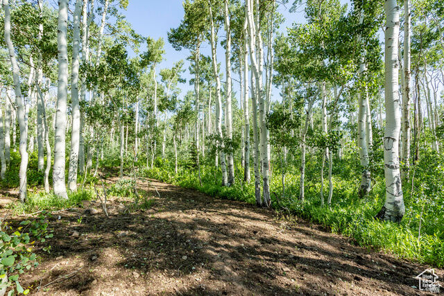 Property Photo:  5156 N Pebble Dr 75  UT 84049 