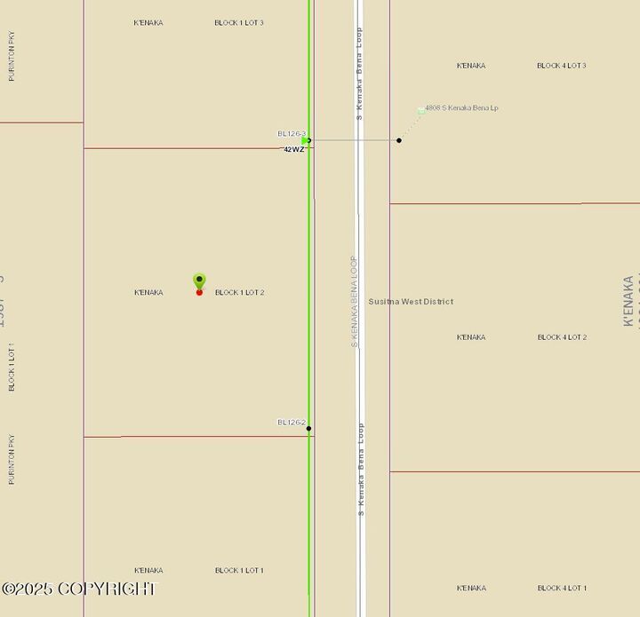 Property Photo: 4767 S Kenaka Bena Loop AK 99623