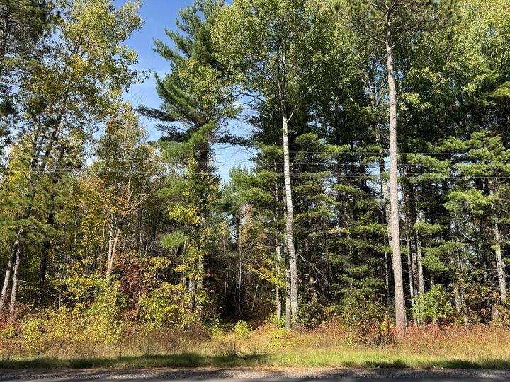 Property Photo: 0660W Hwy 51 WI 54547