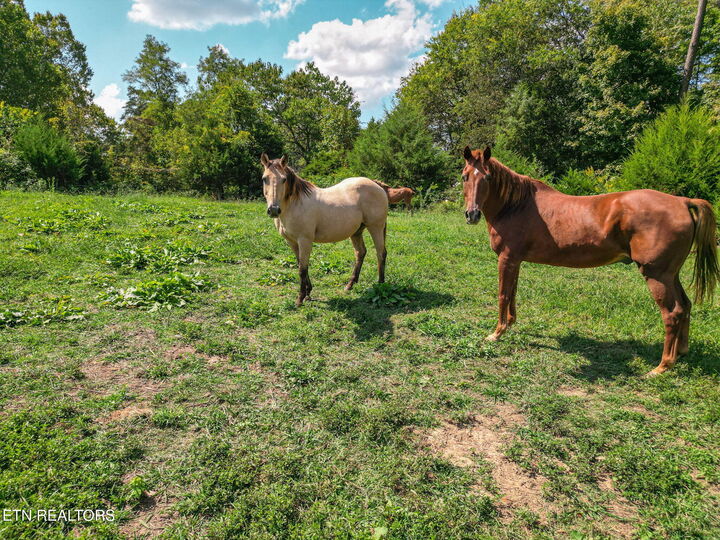 Property Photo: 2733 Shipe Rd TN 37806